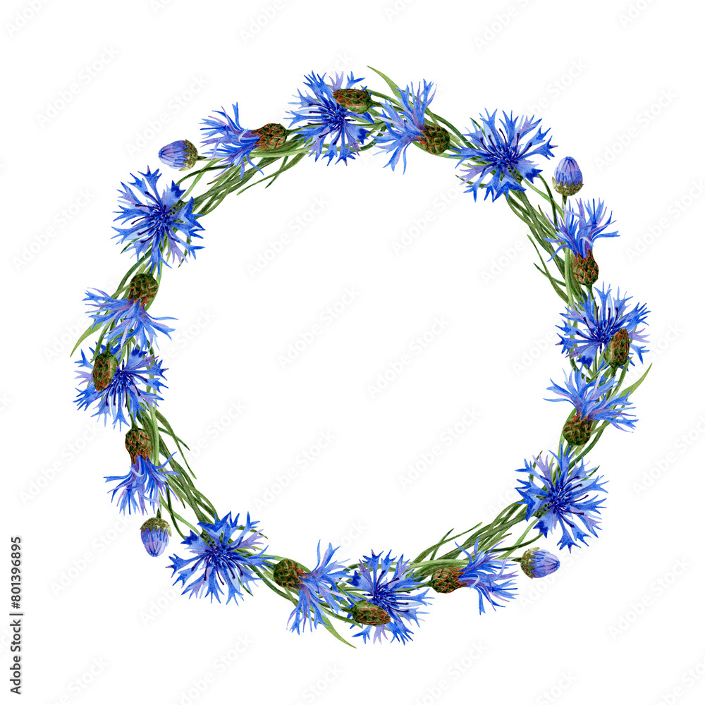 Circle Vignette with aquarelle Cornflowers Circle Vignette with aquarelle Cornflowers