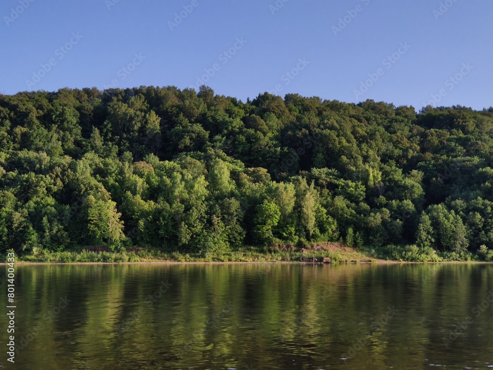 lake and forest lake and forest