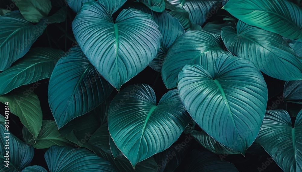 closeup nature view of green leaf in garden dark wallpaper concept nature background tropical leaf