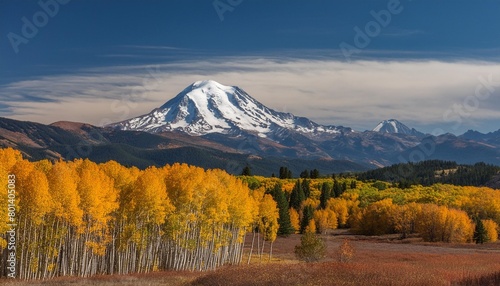 mt adams and aspen trees in the fall