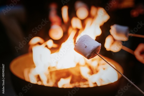Photos Friends enjoying s'mores and marshmellow together by the bonfire