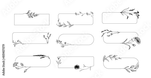 Botanical frame. Hand drawn round line border, leaves and flowers, wedding invitation and cards, logo design and posters template. Elegant minimal style floral vector isolated set