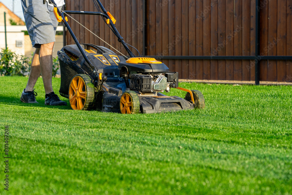 Obraz premium green grass cutting with lawn mower in home garden