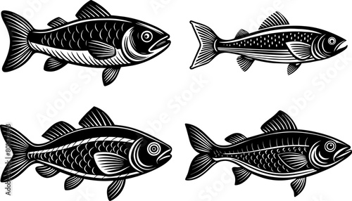 Set of fish signs with linocut or engraving style. Fish design, elements collection