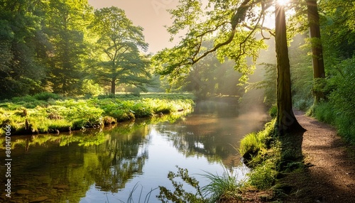 enchanted woodlands serene capture of forest bathed in gentle morning sunlight reflecting in tranquil river ideal nature landscape and scenic collections