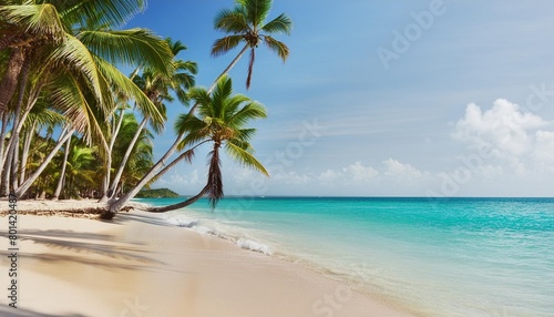tropical carribbean beach © Ryan