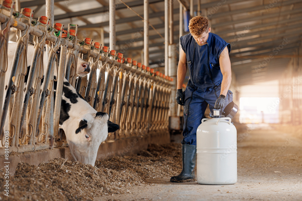 Vet doctor man use tank liquid nitrogen with bull sperm for artificial ...