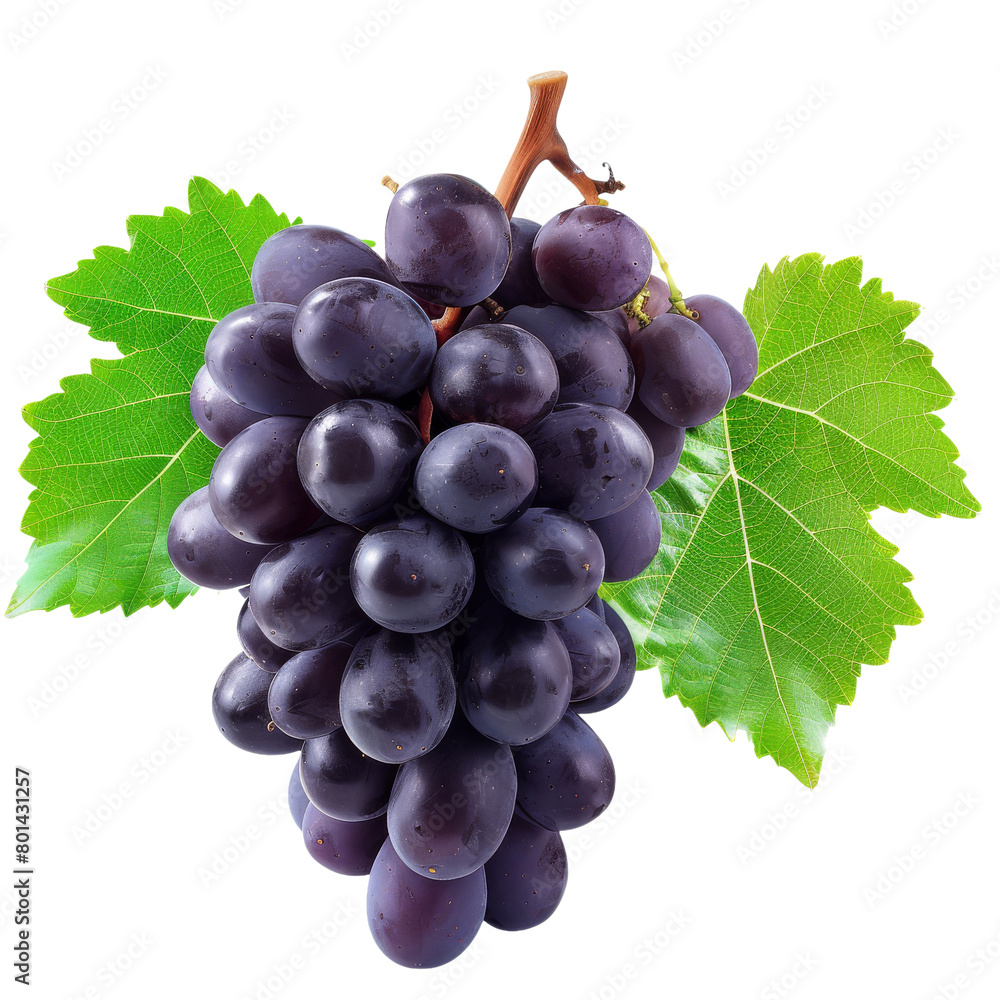 Fototapeta premium Bunch of Grapes Ripe and Ready: The Allure of Fresh Grapes
