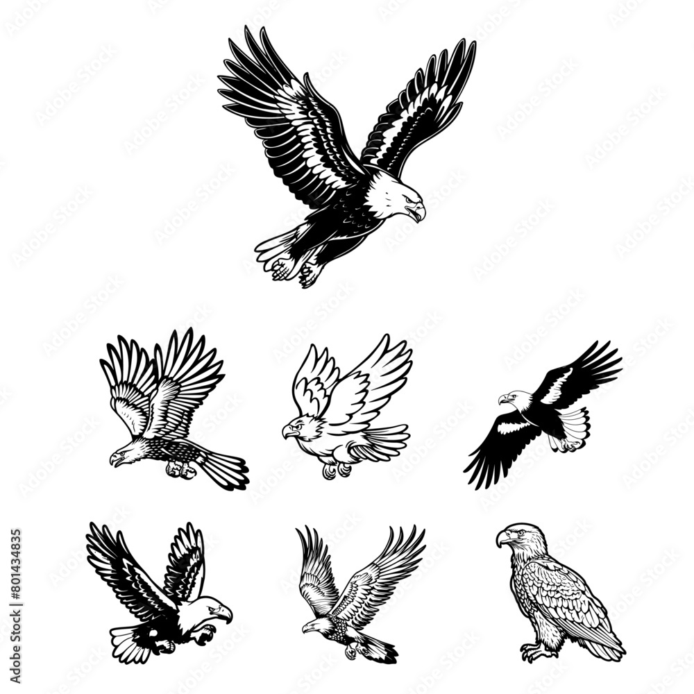 Obraz premium Graceful Bird Symbol Clean and Refined Eagle Logo