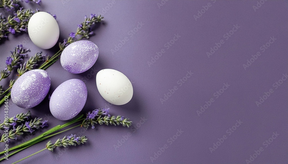 easter composition with purple speckled eggs among lavender sprigs and delicate flowers on a violet background for banner with copy space