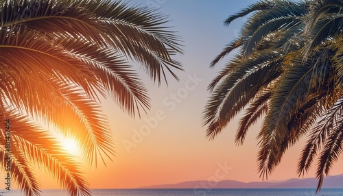 palm tree leaves against gradient sunset sky tropical nature background © Kristopher