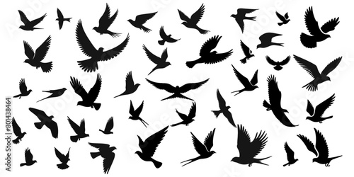 Set of silhouettes of flying birds in a flat style on a white background. Vector illustration