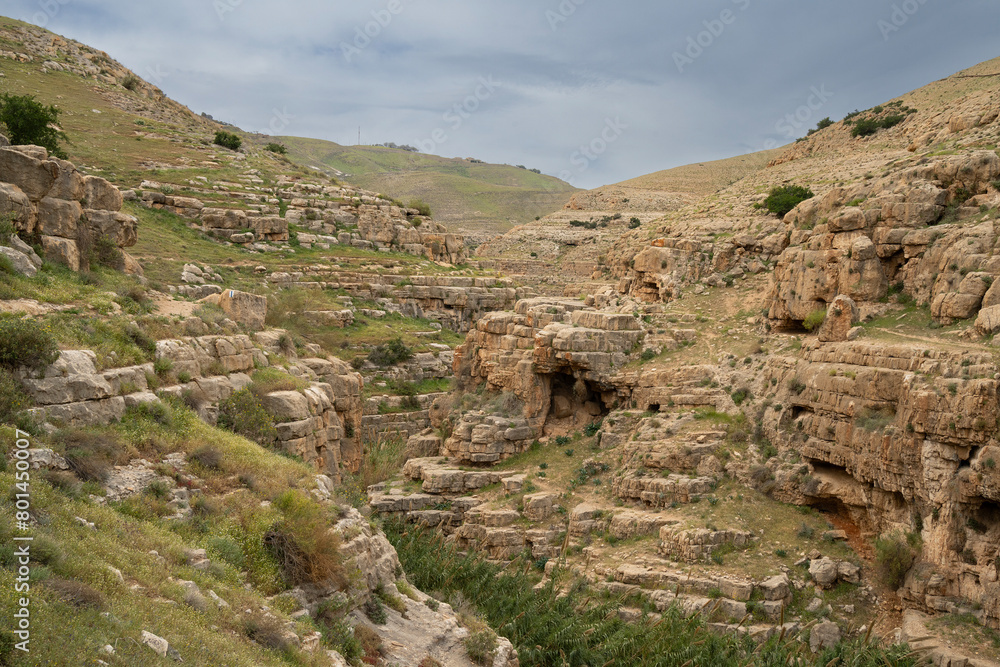 A Landscape on the Bank of the Prat Stream, Israel A Landscape on the Bank of the Prat Stream, Israel