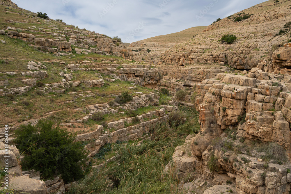 A Landscape on the Bank of the Prat Stream, Israel A Landscape on the Bank of the Prat Stream, Israel