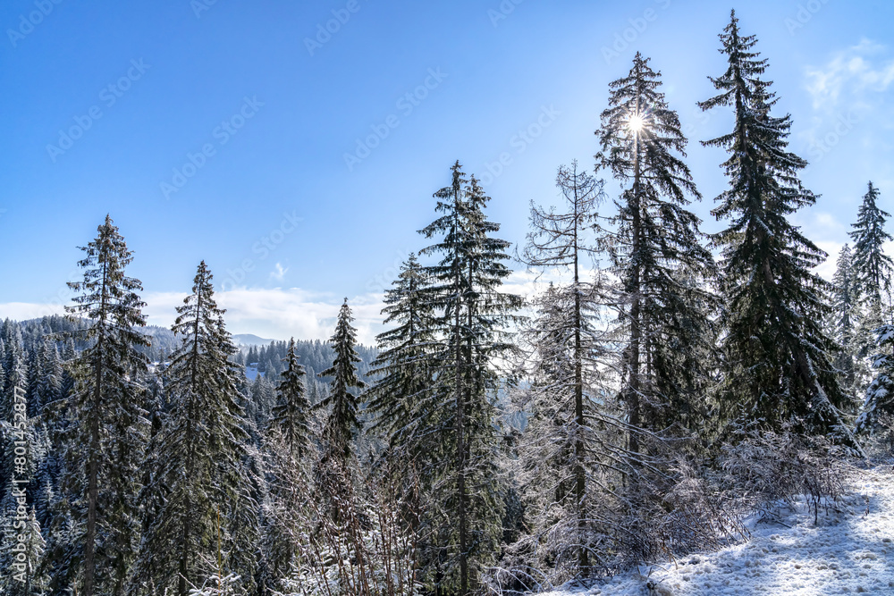 Beautiful Winter Mountain View near Smolyan, Bulgaria Beautiful Winter Mountain View near Smolyan, Bulgaria