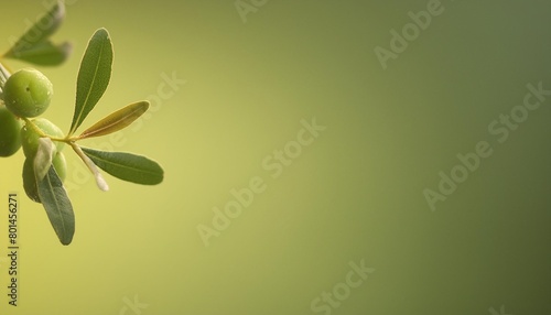 abstract background gradient rich olive background images hd wallpapers