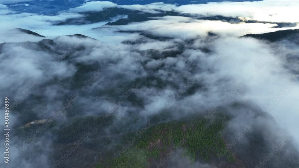 Aerial view of Tropical rainforest on the mountain There is fog in the morning and low clouds. The concept of environmental conservation Aerial view of Tropical rainforest on the mountain There is fog in the morning and low clouds. The concept of environmental conservation