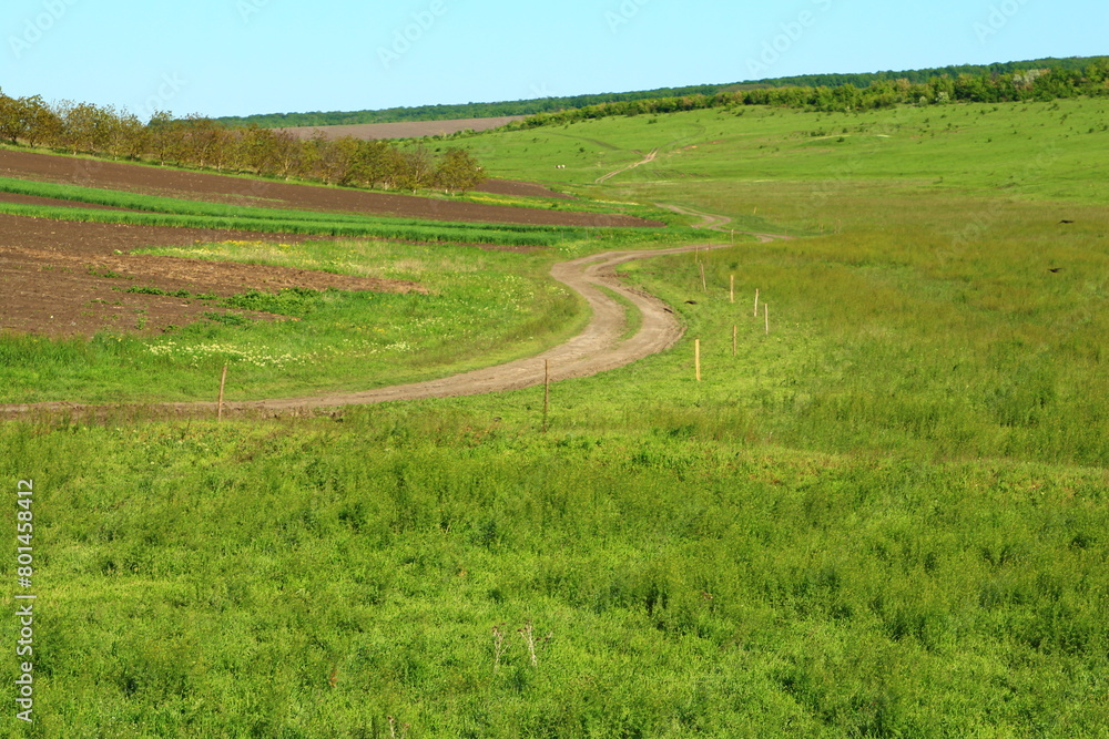 Naklejka premium A dirt road through a field