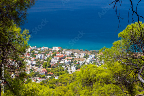 Aianteio town, panoramic view of this seaside town in Salamina island, Greece, as seen through the branches of pine trees, complemented by the sea.