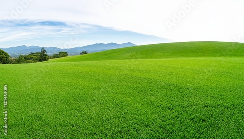 fresh green grass field isolated on transparent background for montage product display png files