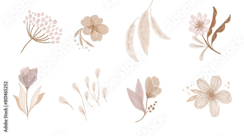 flowers neutral illustration 