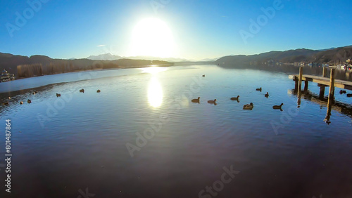 A flock of ducks swimming next to a wooden pier on the lake  with Alps in the back. The calm surface of the lake is reflecting the mountains  sunbeams and clouds. Clear and sunny day.