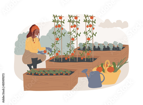 Growing vegetables isolated concept vector illustration.