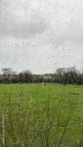Vertical video through the window with raindrops with a meadow with trees in the background.