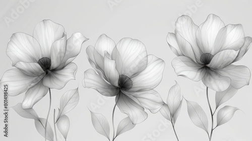 This is a one-line drawing modern of Magnolia Flowers printed on white