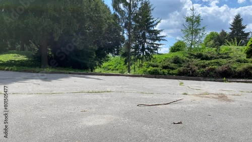 Camera movement, view from below along the road to green trees and a lawn. Blue sky and green trees with flower beds in botanical garden in spring. Path in the park area. A walk on a spring day. 4k