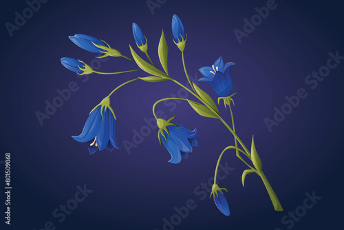 Branch with leaves and bluebell flower buds. Vector isolated cartoon illustration of a wild field plant.