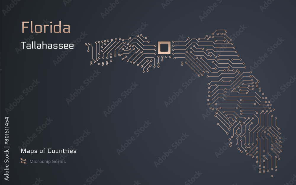 Florida Map with a capital of Tallahassee Shown in a Microchip Pattern ...