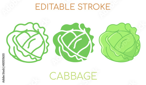 cabbage line icon, filled and flat. editable stroke