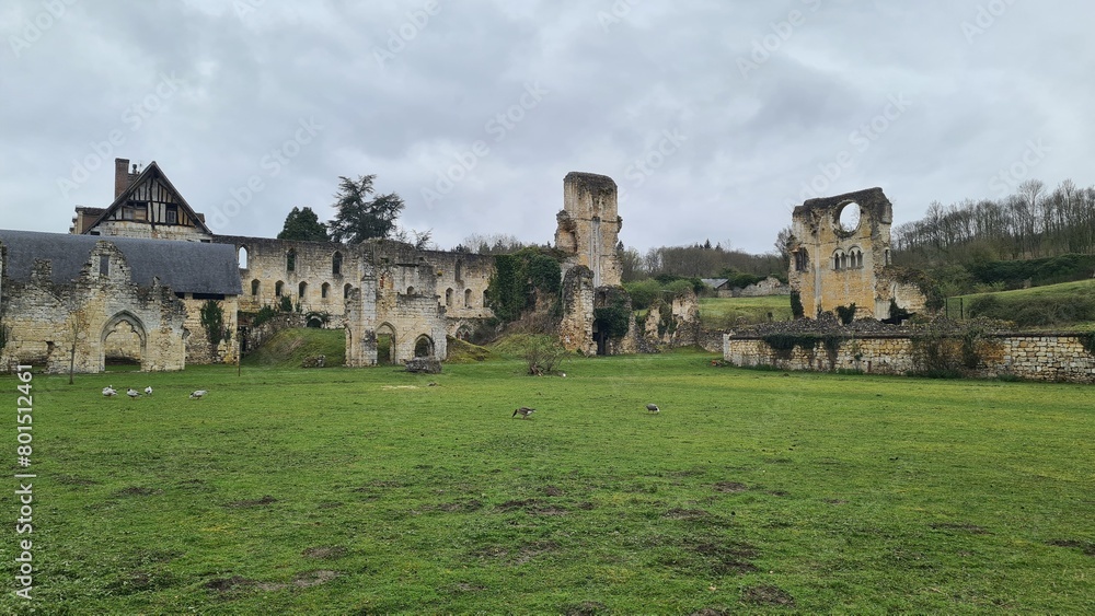 Ruines de l'abbaye de Mortemer Ruines de l'abbaye de Mortemer