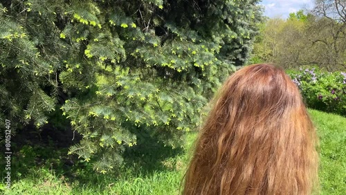 Beautiful girl with long hair walks in the park and touches coniferous branches.