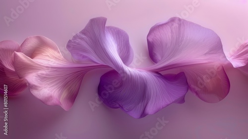   A tight shot of a purple flower against a pink backdrop  its petals softly blurred