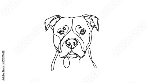 A continuous line drawing of a realistic pitbull head