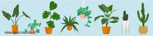 Ensemble plantes d’intérieur en pot vecteur dessin isolé vert botanique décoration
