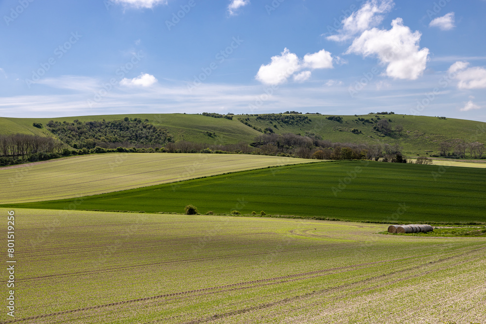 A rural South Downs view on a sunny spring day