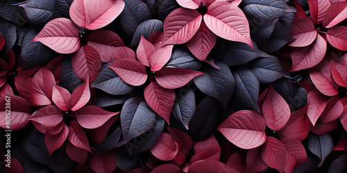 pink black leaves background