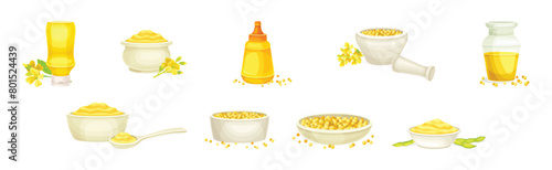 Mustard Yellow Spice and Condiment Vector Set