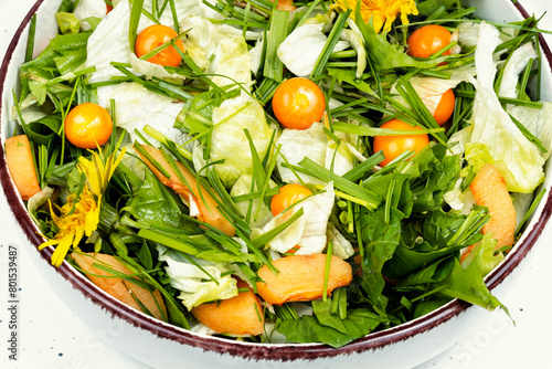 Green salad with physalis and field grass photo