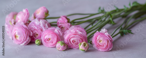 Soft Pink Ranunculus Bouquet on Pastel Background