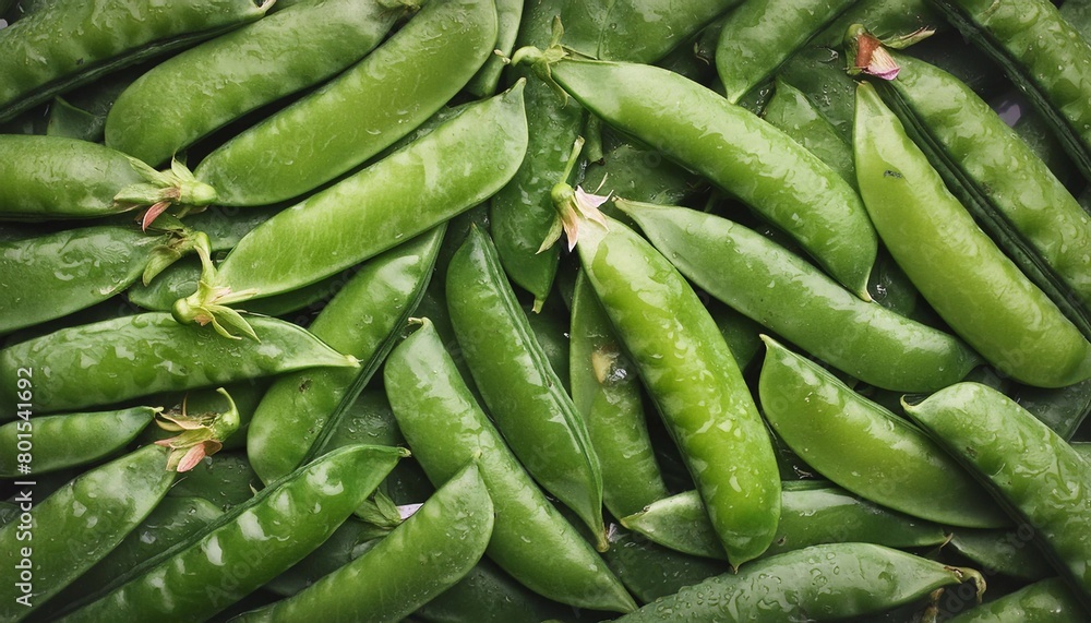 green peas in pods on a dark background, top view. Proper nutrition and healthy vegetables and vitamins.
green peas in pods on a dark background, top view. Proper nutrition and healthy vegetables and vitamins.