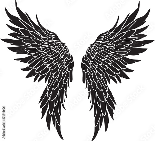 Feather Wings in the form of Angel or Dragon Illustration in Vector