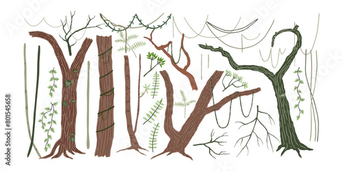 Set of jungle trees, vines and twigs. Rain forest, wild nature. Vector illustration in flat style.