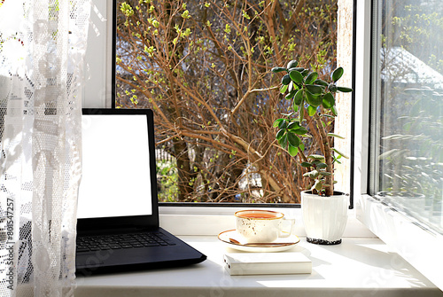 A cup of tea, a computer, a crassula flower in pots on a sunny window. Concept of home coziness, comfort and home office. Computer mobility and healthy lifestyle, selective focus.