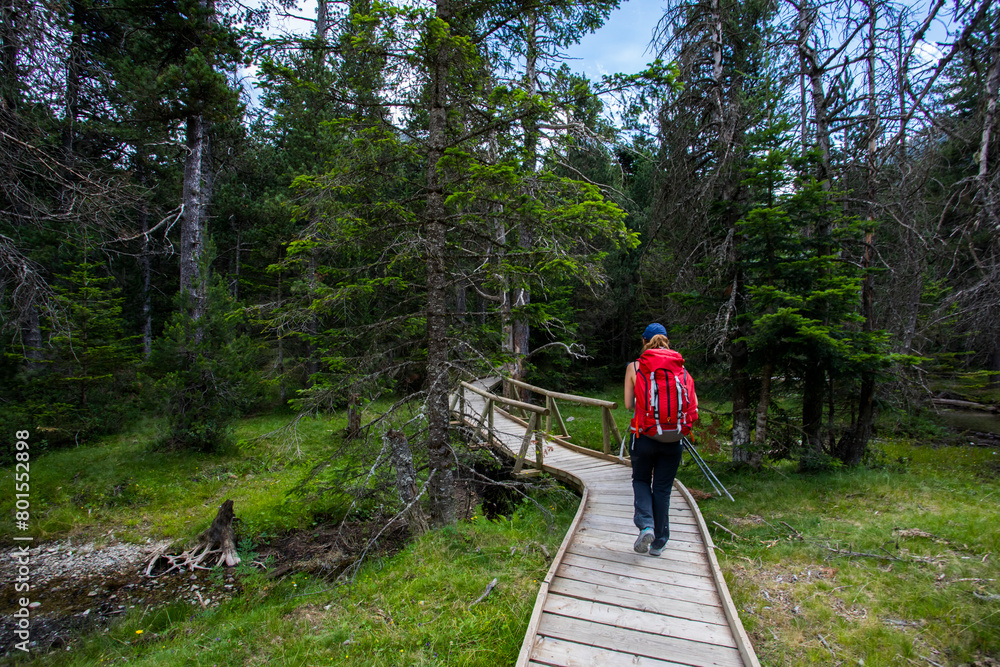 Young hiker woman in Vall de Boi, Aiguestortes and Sant Maurici National Park, Spain Young hiker woman in Vall de Boi, Aiguestortes and Sant Maurici National Park, Spain