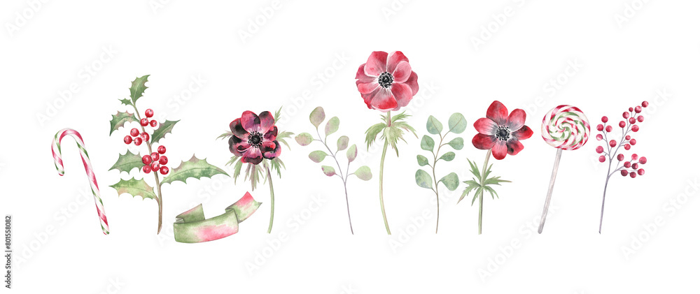 Set of watercolor illustration of the red anemones, holly, winter berries, eucalyptus, candy cane and lollipop. Elegant Christmas clipart in a traditional green and red colors, isolated on transparent