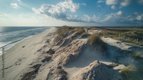 A coastal dune restoration project underway, stabilizing sand dunes and protecting against coastal erosion. photo